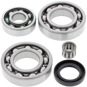 Kawasaki KLF220 Bayou Differential Bearing & Seal Kit - Rear - All Balls Racing - `88-`02